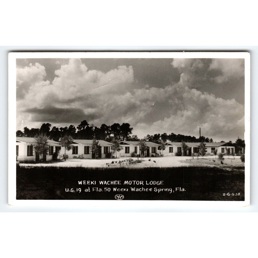 Weeki Wachee Mermaid Motor Lodge Hotel Real Photo Postcard Florida RPPC 1954